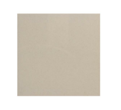 Kütahya Seramik 20*20 Antiasit Bone 12mm